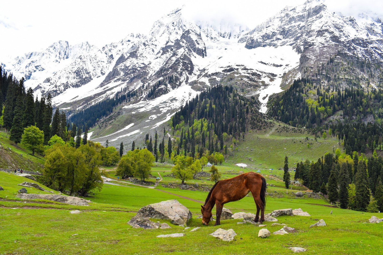 Kashmir Bliss Getaway
