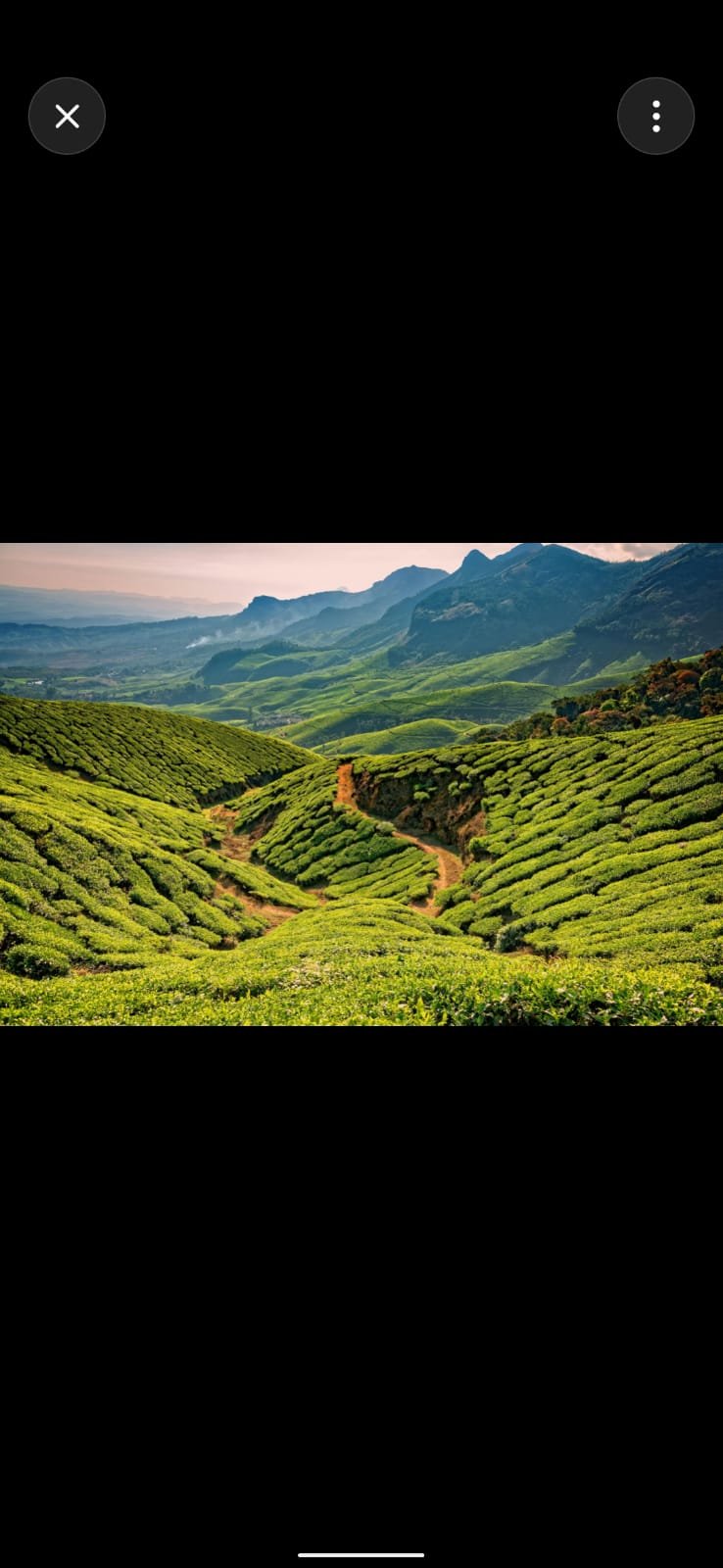 Majestic Munnar