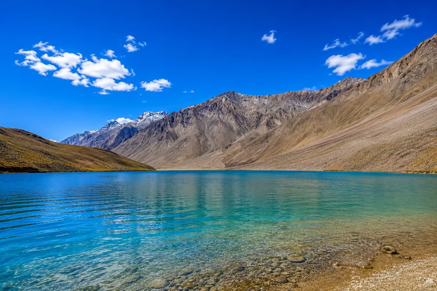 Manali Chandratal Kaza Safari