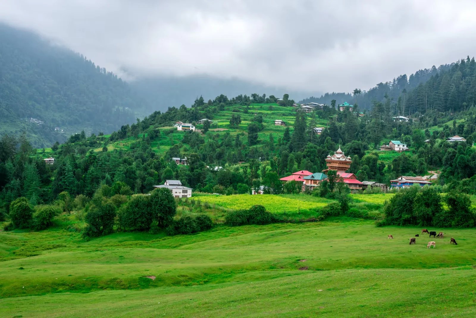 Shimla Manali