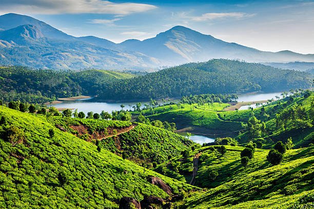 Rediscover Kerala